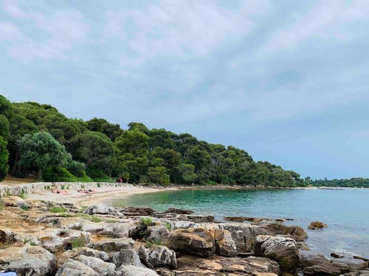 Feel The City Atmosphere Rovinj Exterior foto