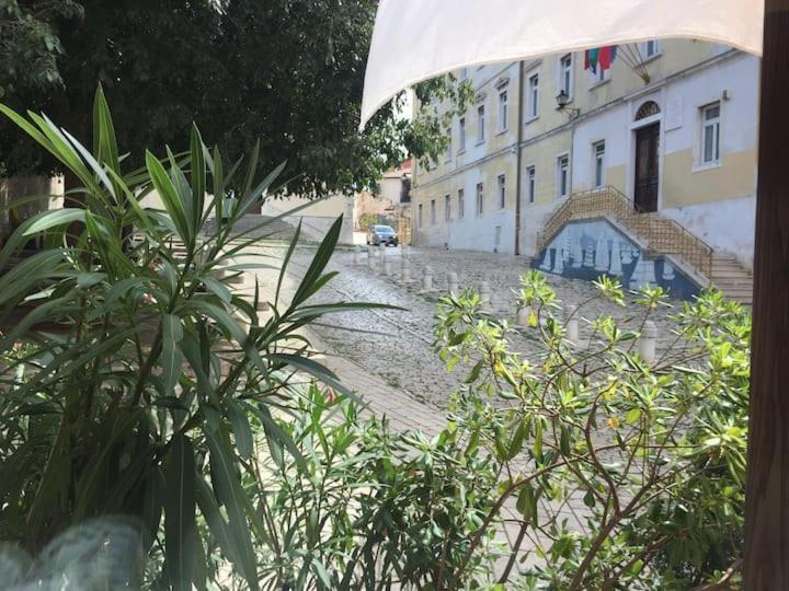 Feel The City Atmosphere Rovinj Exterior foto